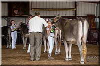 LCFAIR-081518-3121.jpg