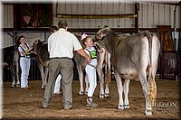LCFAIR-081518-3124.jpg