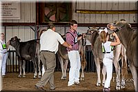 LCFAIR-081518-3127.jpg