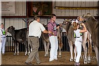 LCFAIR-081518-3128.jpg