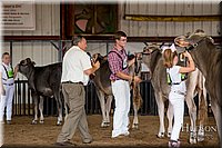 LCFAIR-081518-3129.jpg