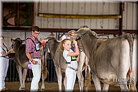 LCFAIR-081518-3132.jpg