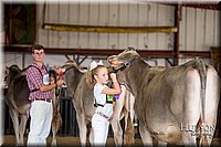 LCFAIR-081518-3133.jpg