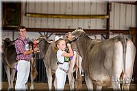 LCFAIR-081518-3134.jpg