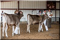 LCFAIR-081518-3138.jpg