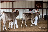 LCFAIR-081518-3139.jpg
