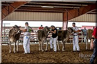 LCFAIR-081518-3140.jpg
