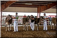 LCFAIR-081518-3142.jpg
