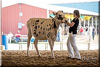 LCFAIR-081518-3149.jpg