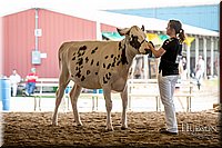 LCFAIR-081518-3150.jpg