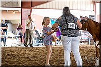 LCFAIR-081518-3151.jpg
