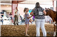 LCFAIR-081518-3153.jpg