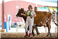 LCFAIR-081518-3155.jpg