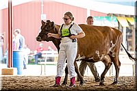 LCFAIR-081518-3156.jpg