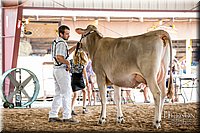 LCFAIR-081518-3157.jpg