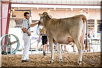 LCFAIR-081518-3158.jpg