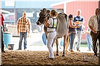 LCFAIR-081518-3159.jpg
