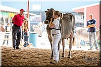LCFAIR-081518-3160.jpg