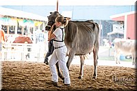 LCFAIR-081518-3161.jpg