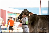 LCFAIR-081518-3162.jpg