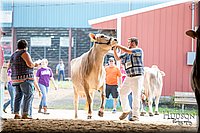LCFAIR-081518-3163.jpg