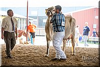 LCFAIR-081518-3164.jpg
