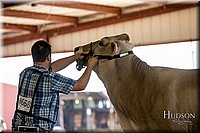 LCFAIR-081518-3165.jpg