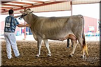 LCFAIR-081518-3166.jpg