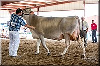 LCFAIR-081518-3167.jpg