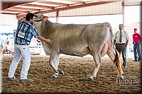 LCFAIR-081518-3168.jpg