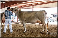 LCFAIR-081518-3169.jpg