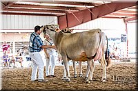 LCFAIR-081518-3170.jpg
