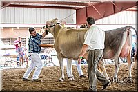 LCFAIR-081518-3171.jpg