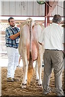 LCFAIR-081518-3172.jpg