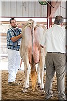 LCFAIR-081518-3173.jpg