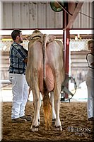 LCFAIR-081518-3174.jpg