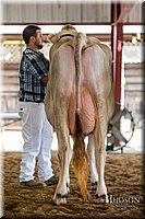 LCFAIR-081518-3175.jpg
