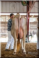 LCFAIR-081518-3176.jpg