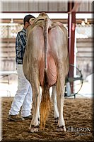 LCFAIR-081518-3177.jpg