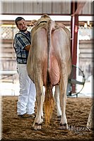 LCFAIR-081518-3178.jpg