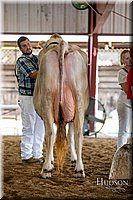 LCFAIR-081518-3179.jpg