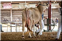 LCFAIR-081518-3180.jpg