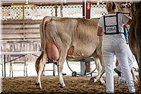 LCFAIR-081518-3181.jpg