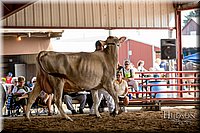 LCFAIR-081518-3182.jpg