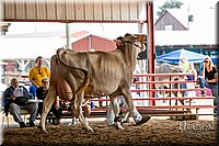 LCFAIR-081518-3183.jpg