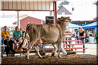 LCFAIR-081518-3184.jpg