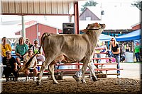LCFAIR-081518-3185.jpg
