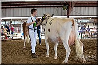 LCFAIR-081518-3188.jpg