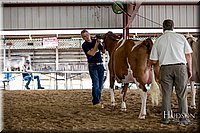 LCFAIR-081518-3191.jpg