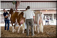 LCFAIR-081518-3193.jpg